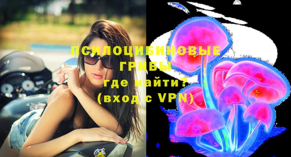 mix Богородицк